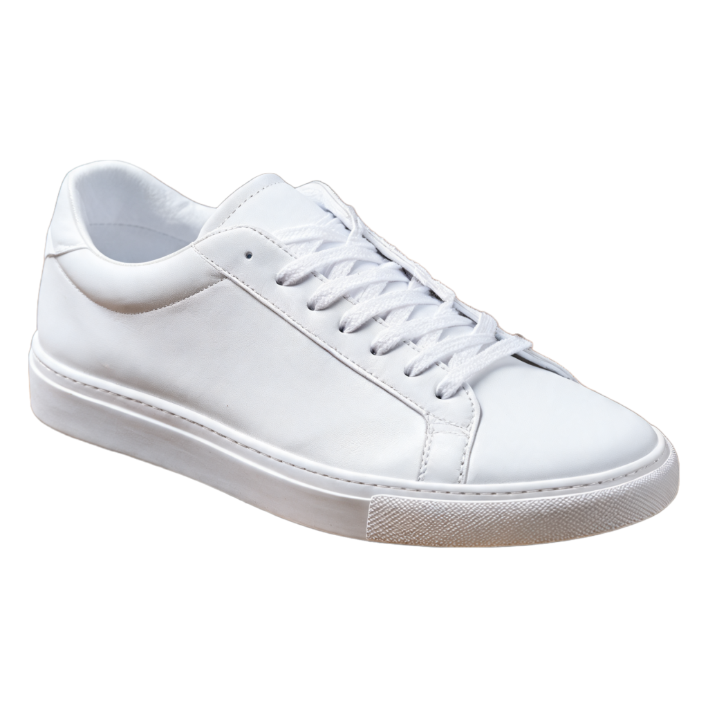 Rendered shoe — White-Background Standardizer