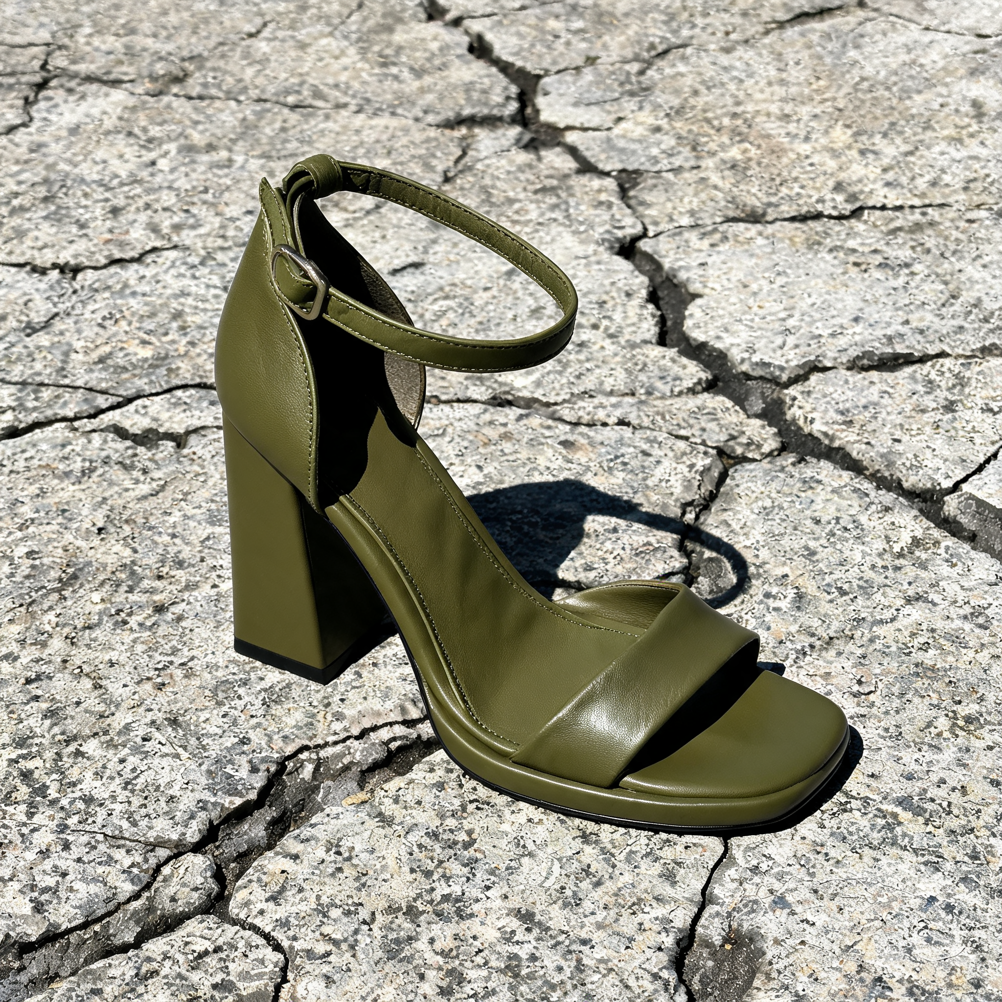 Input shoe for White-Background Standardizer