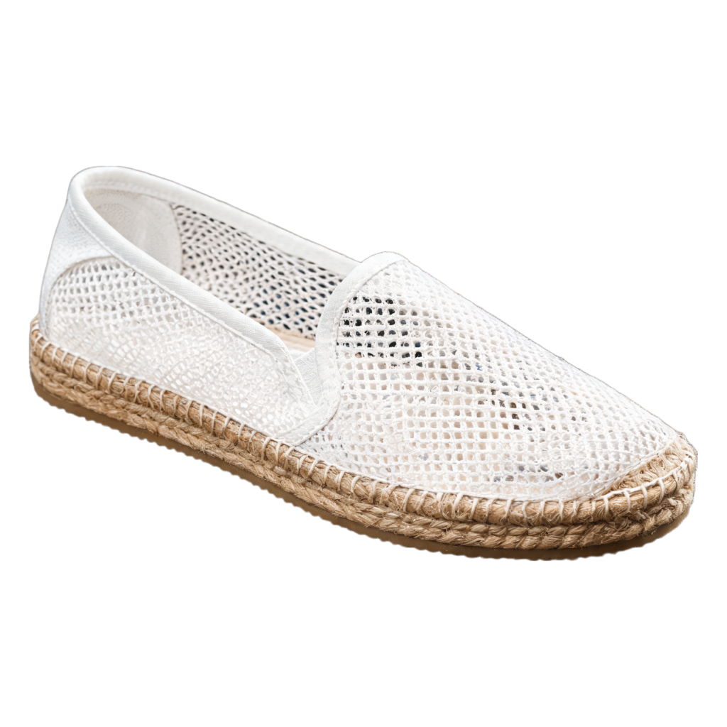 Rendered shoe — White-Background Standardizer