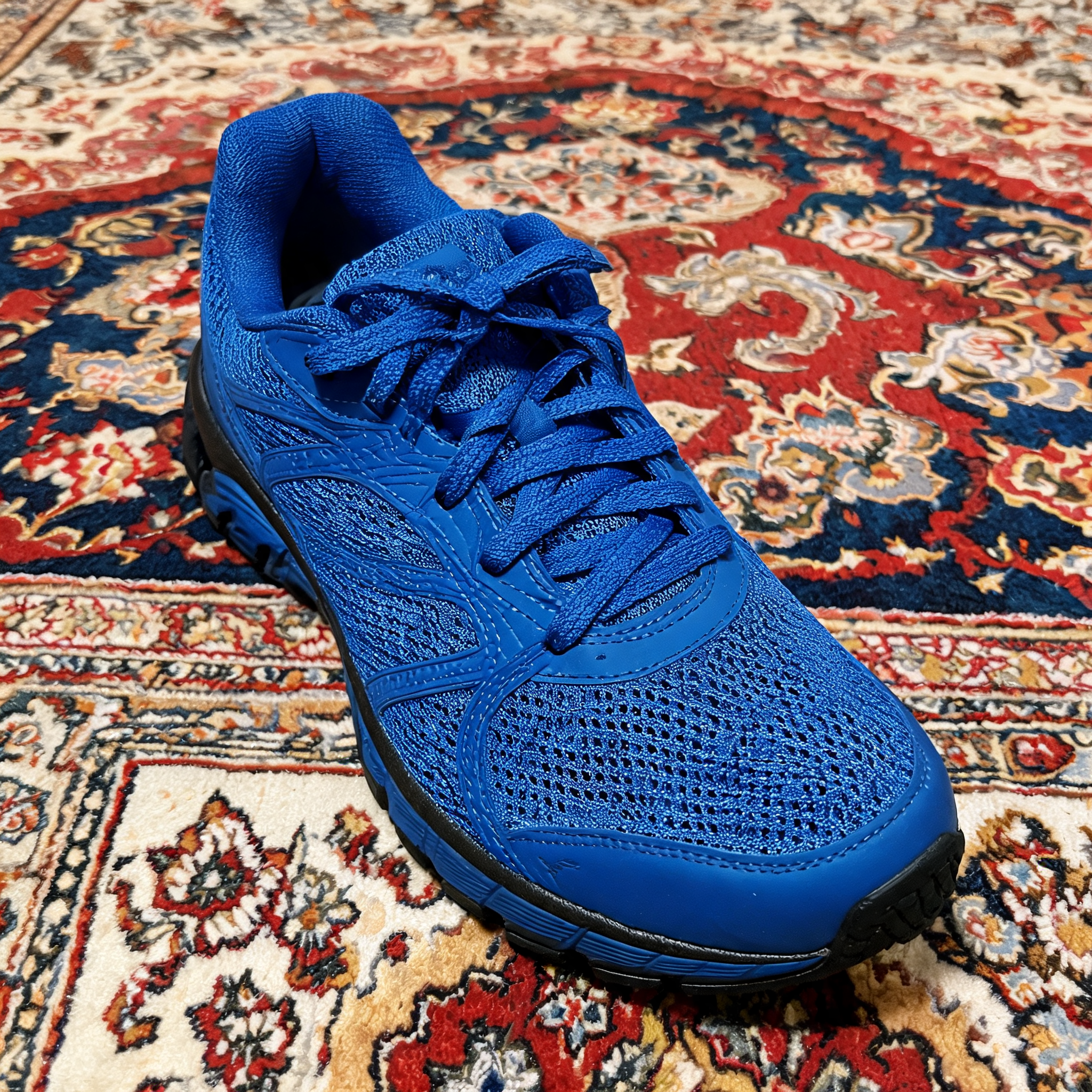 Input shoe for White-Background Standardizer