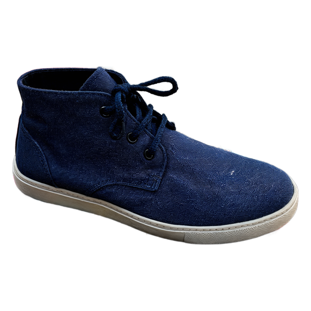 Rendered shoe — White-Background Standardizer