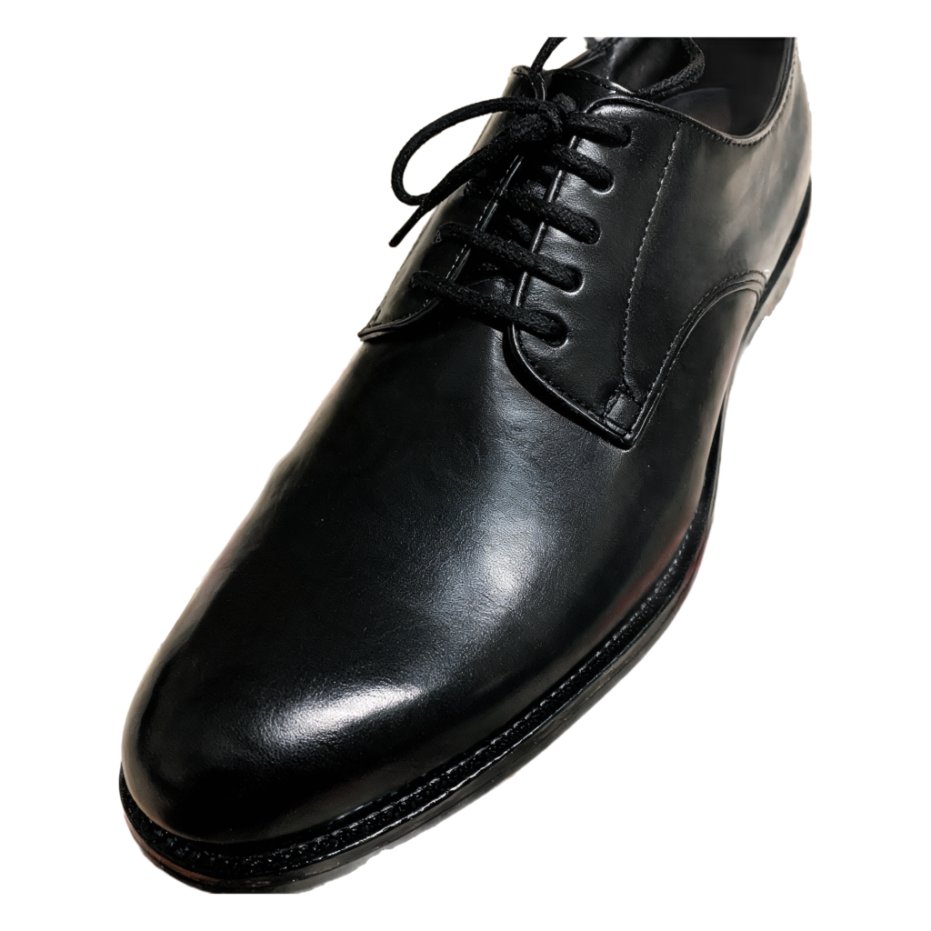 Rendered shoe — White-Background Standardizer