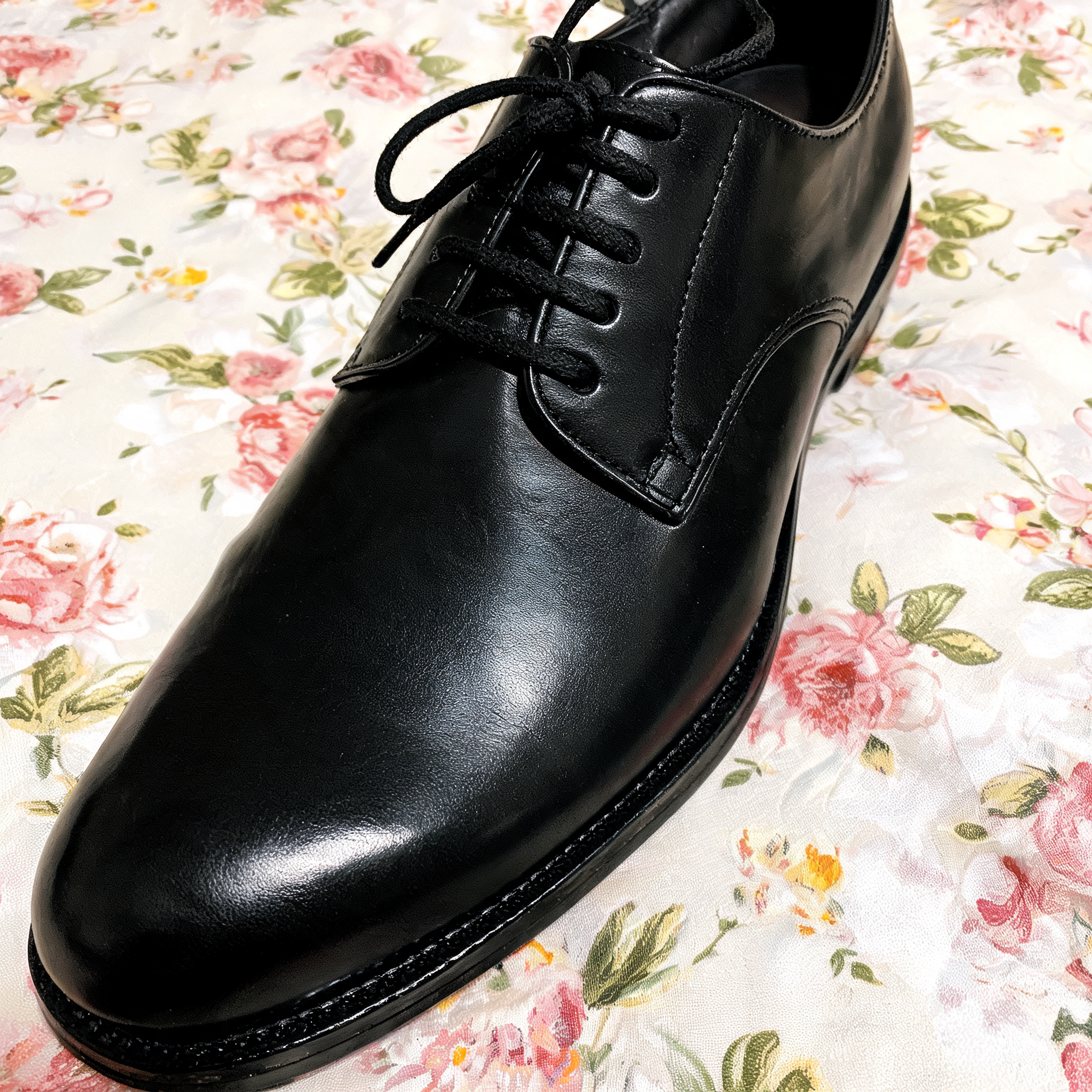 Input shoe for White-Background Standardizer