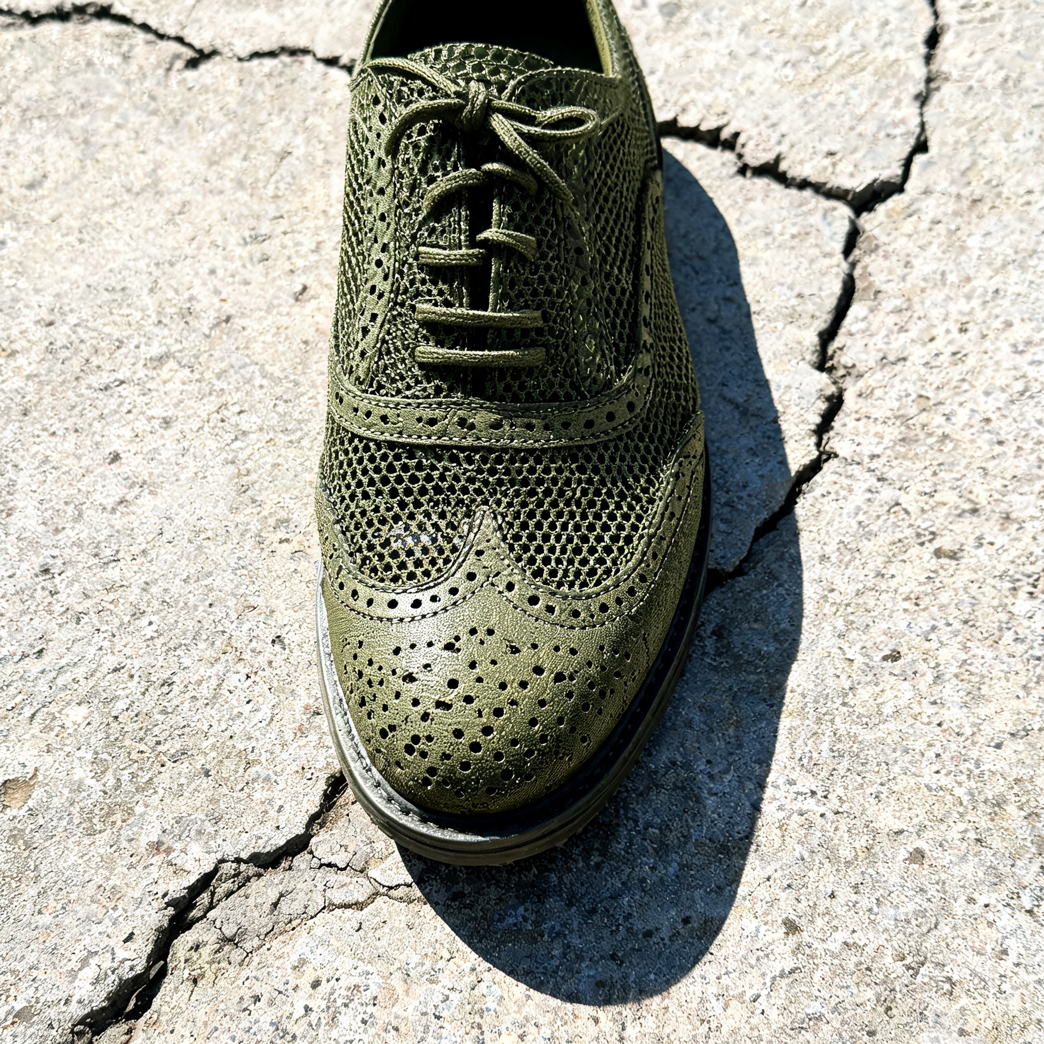 Input shoe for White-Background Standardizer