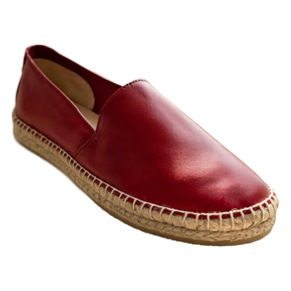 Rendered shoe — White-Background Standardizer