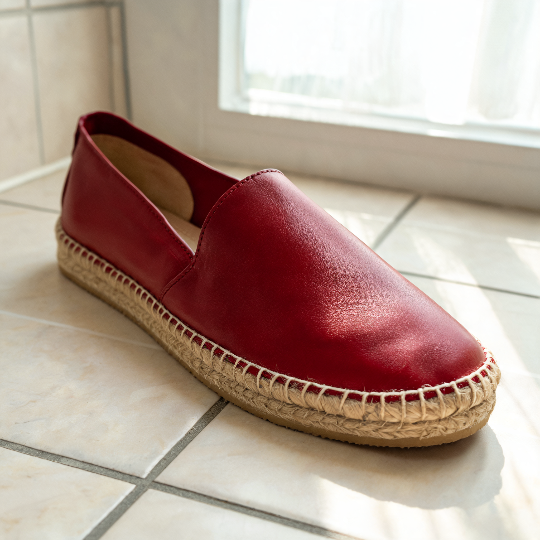 Input shoe for White-Background Standardizer