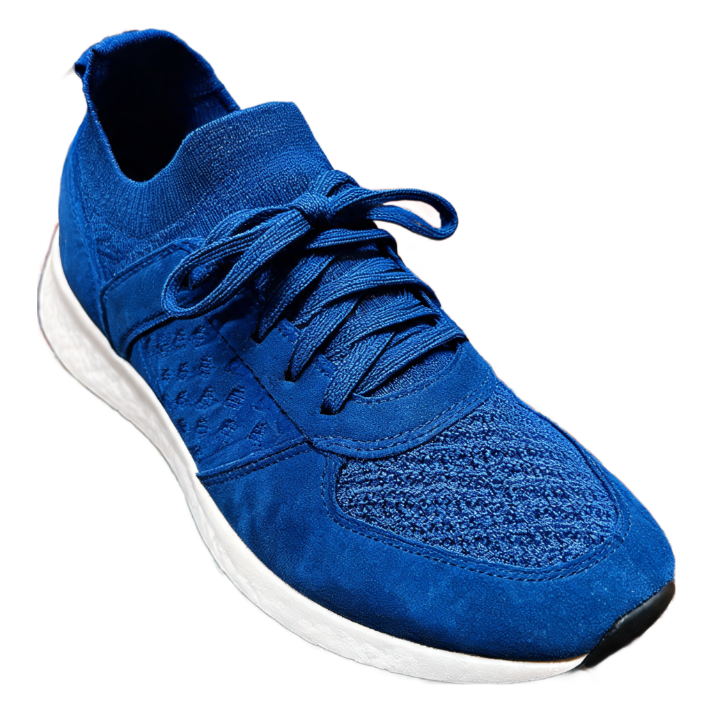 Rendered shoe — White-Background Standardizer