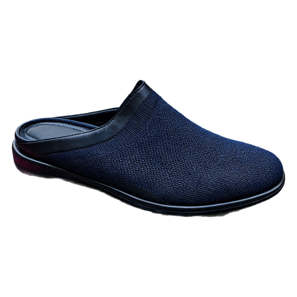 Rendered shoe — White-Background Standardizer