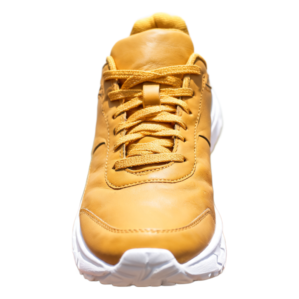 Rendered shoe — White-Background Standardizer