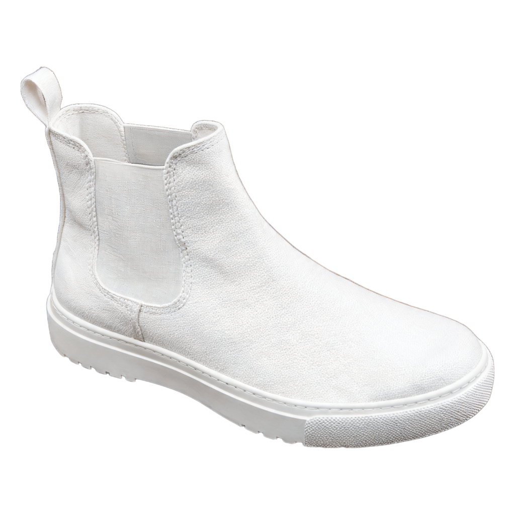 Rendered shoe — White-Background Standardizer