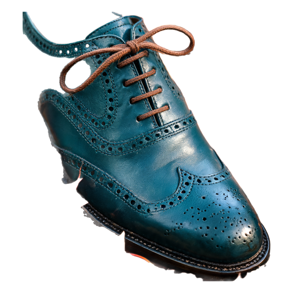 Rendered shoe — White-Background Standardizer