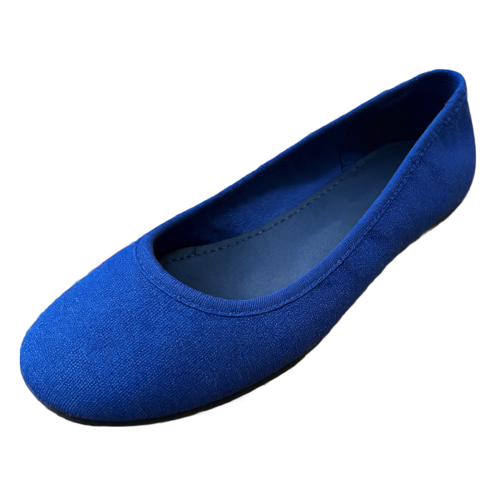 Rendered shoe — White-Background Standardizer