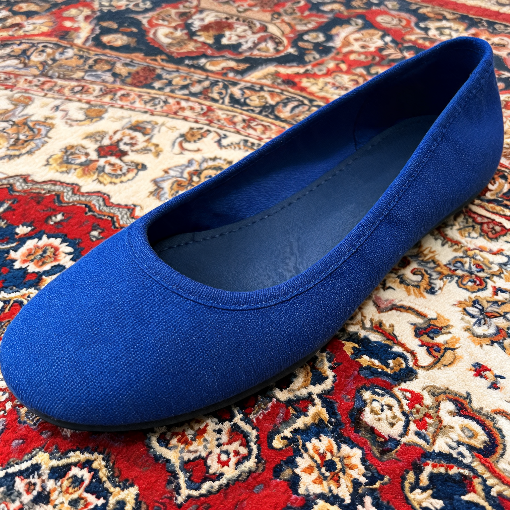 Input shoe for White-Background Standardizer