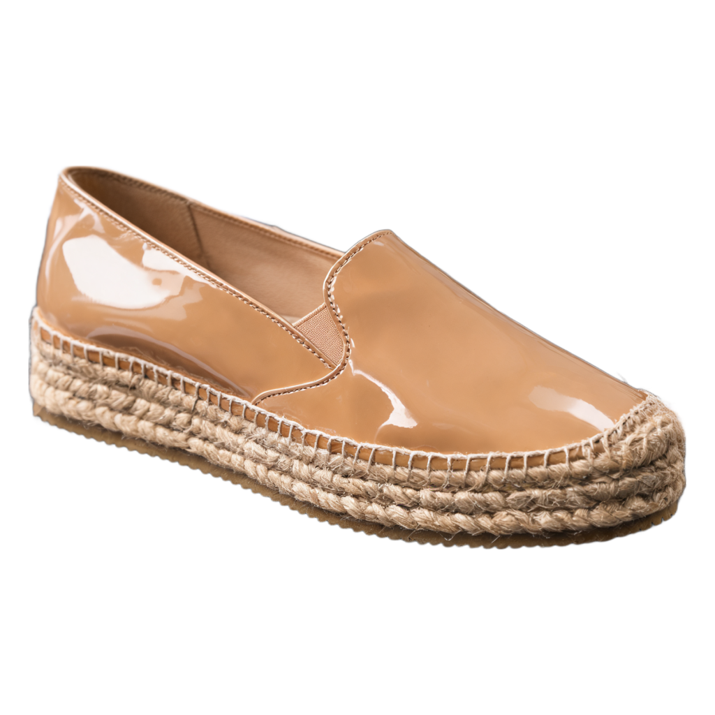 Rendered shoe — White-Background Standardizer
