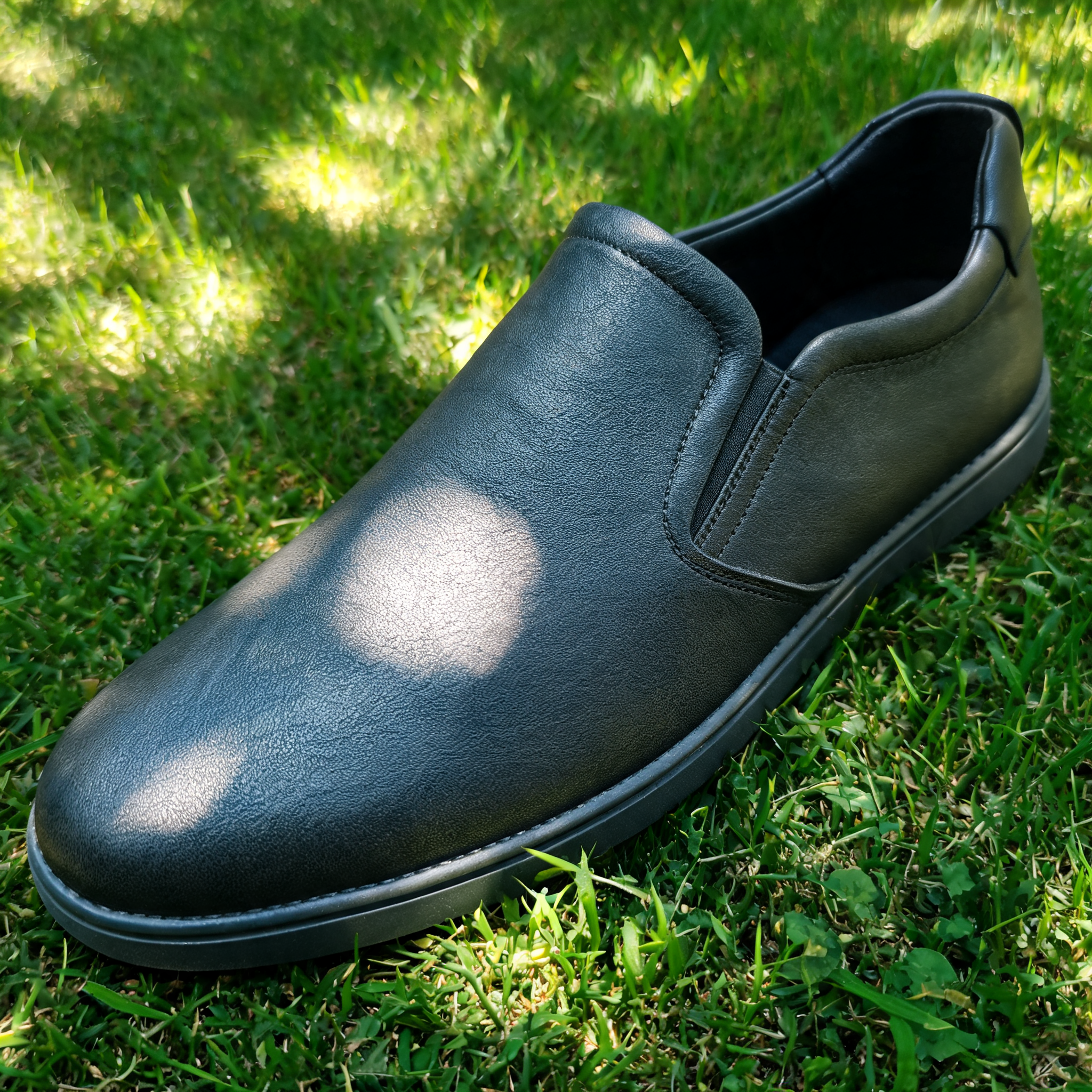 Input shoe for White-Background Standardizer