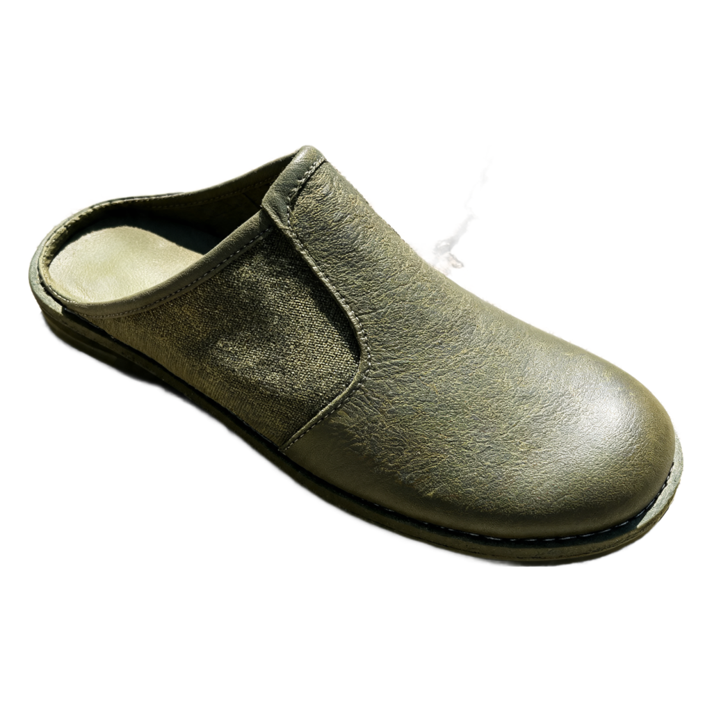 Rendered shoe — White-Background Standardizer