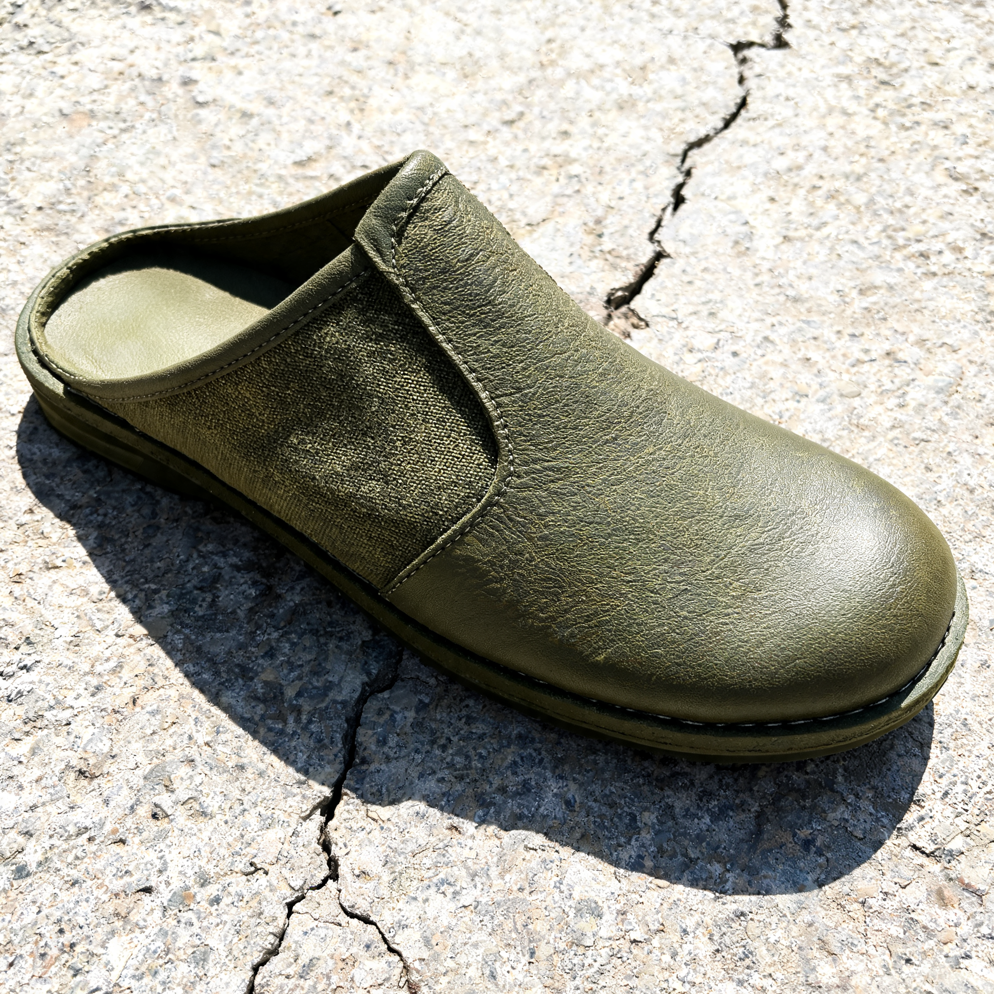 Input shoe for White-Background Standardizer