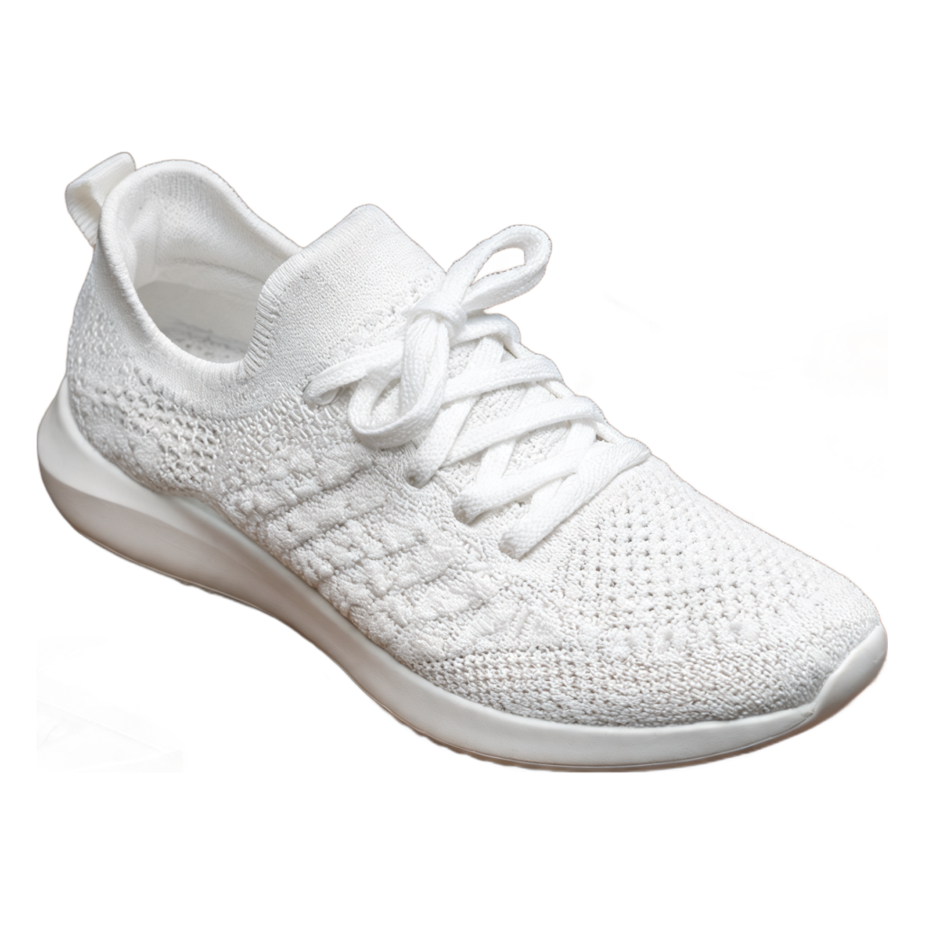 Rendered shoe — White-Background Standardizer