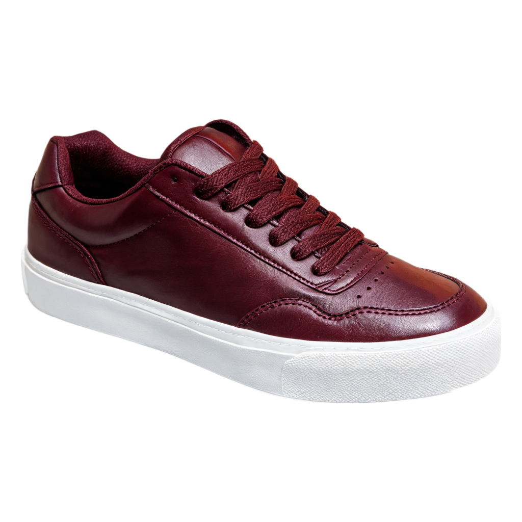 Rendered shoe — White-Background Standardizer