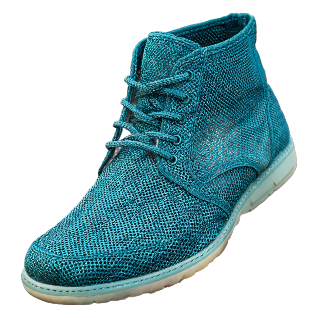 Rendered shoe — White-Background Standardizer