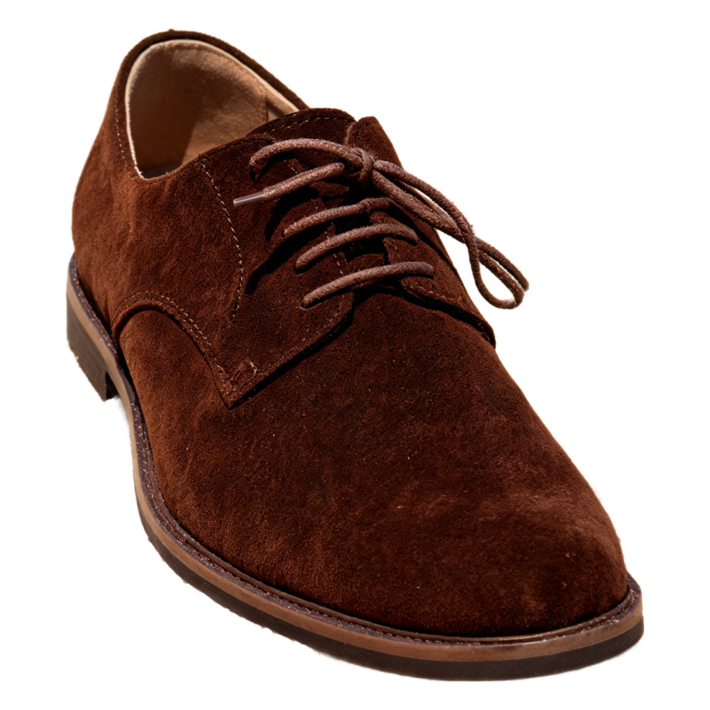 Rendered shoe — White-Background Standardizer