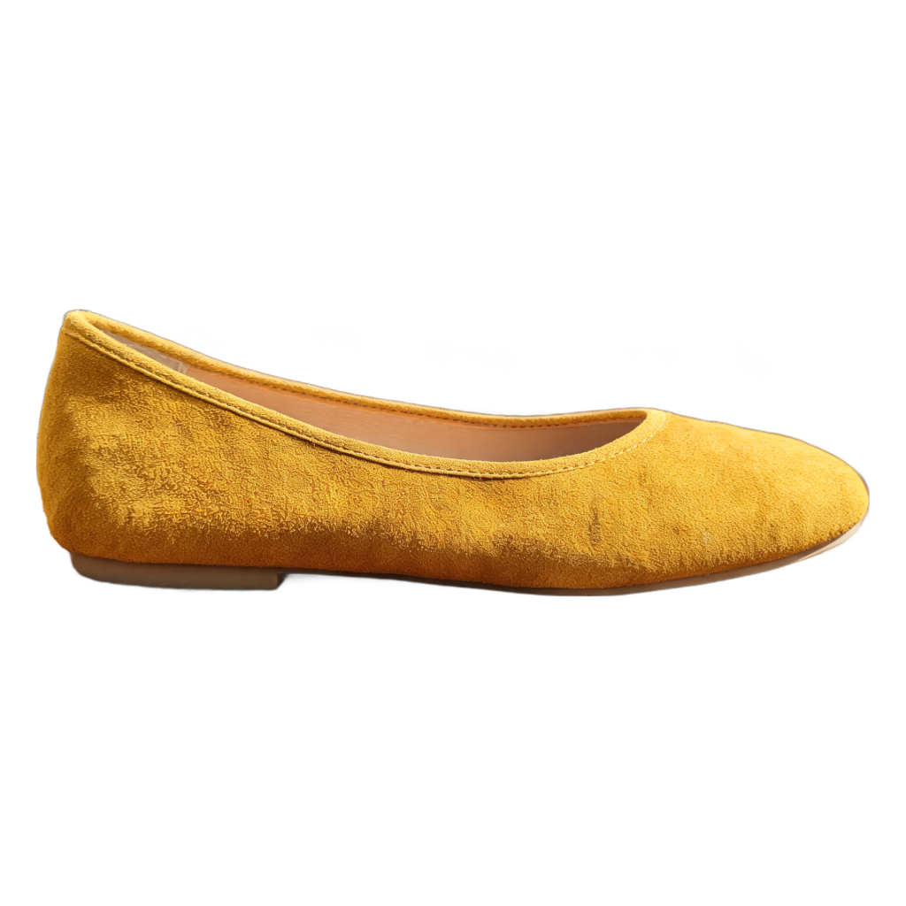 Rendered shoe — White-Background Standardizer