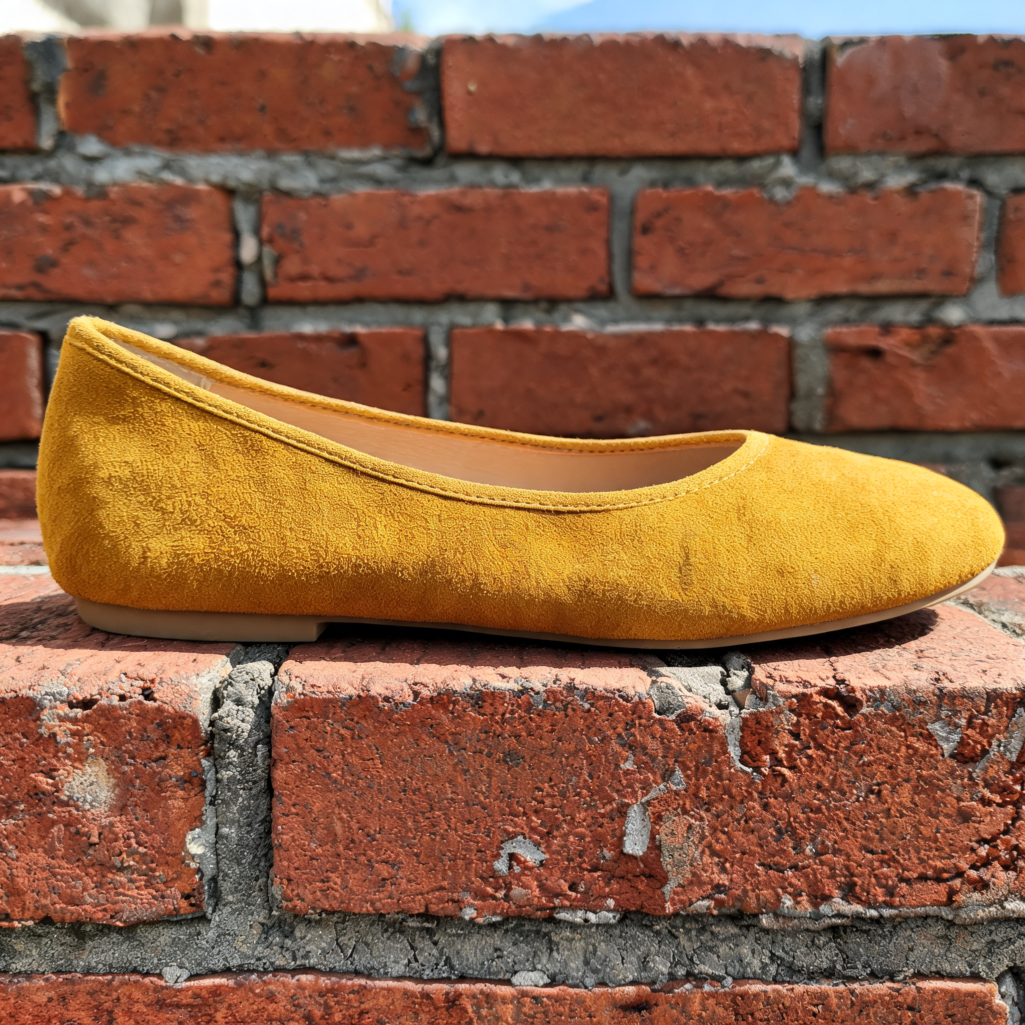 Input shoe for White-Background Standardizer