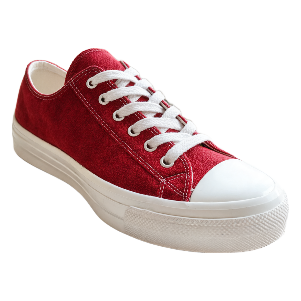 Rendered shoe — White-Background Standardizer