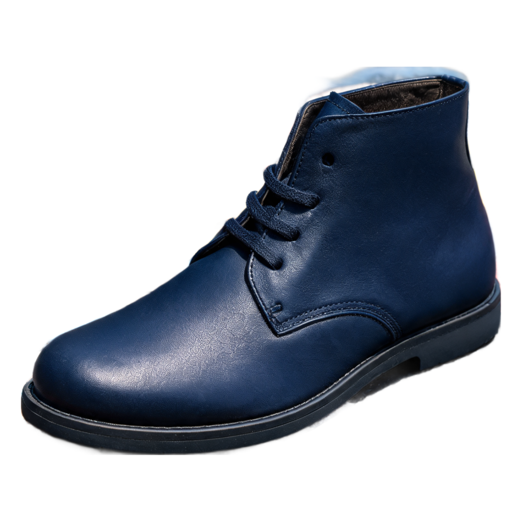 Rendered shoe — White-Background Standardizer