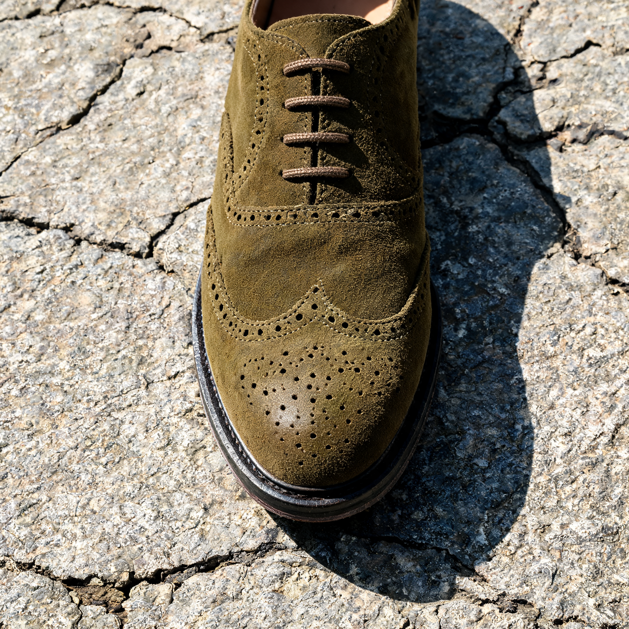 Input shoe for White-Background Standardizer