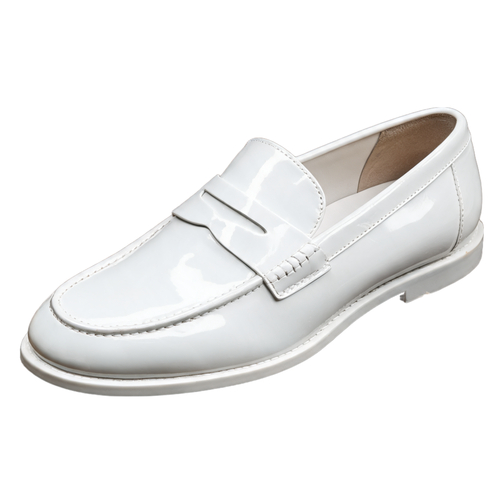 Rendered shoe — White-Background Standardizer