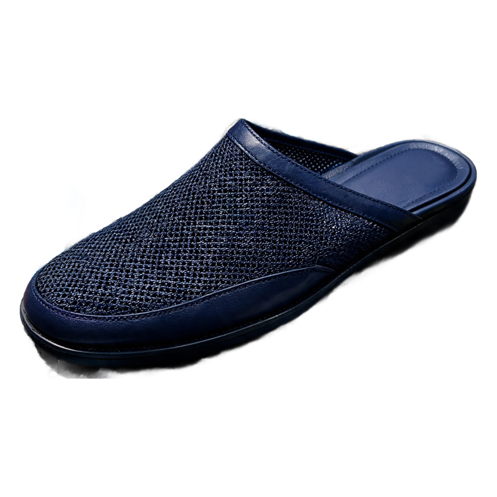 Rendered shoe — White-Background Standardizer