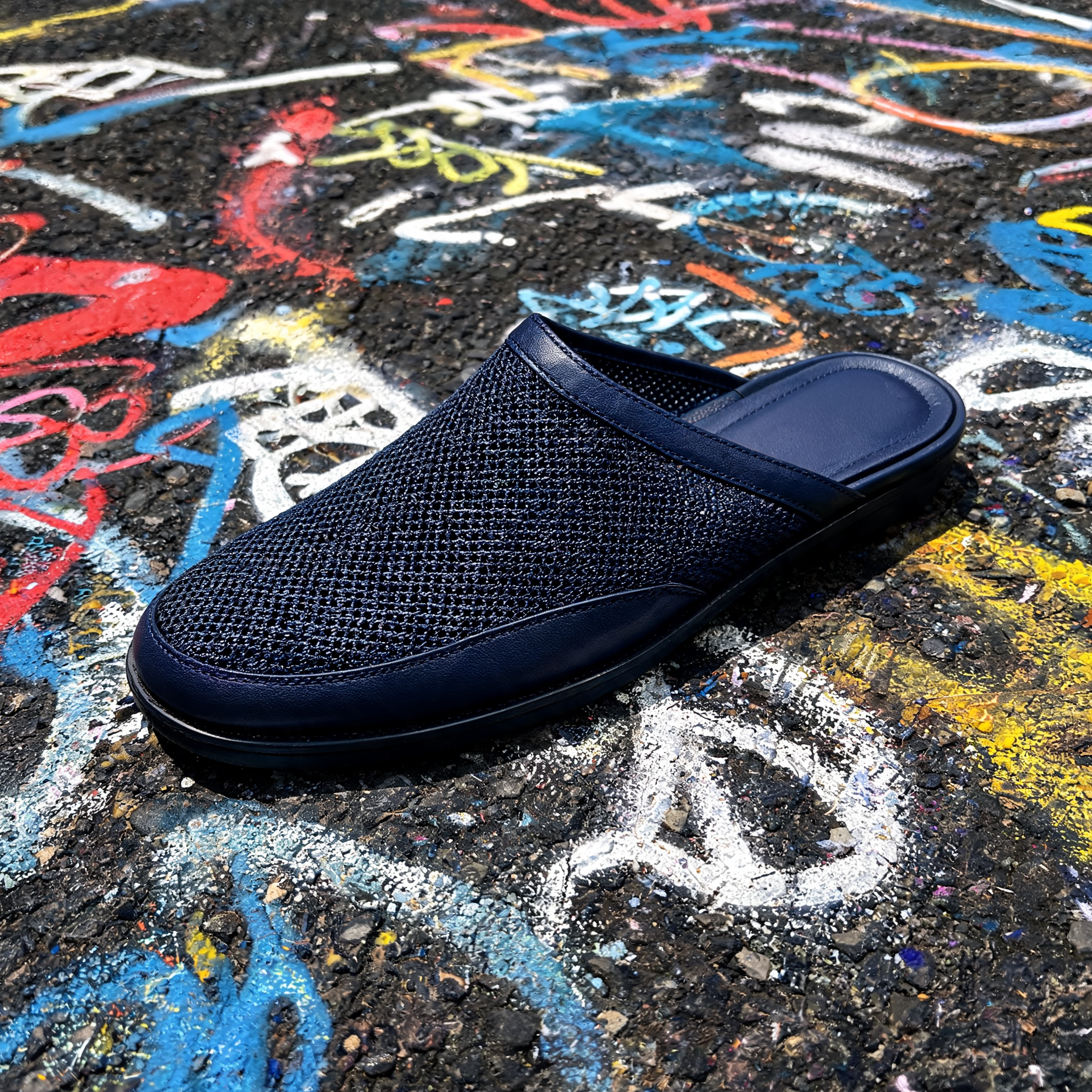 Input shoe for White-Background Standardizer